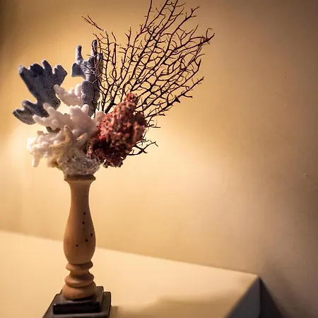 Casa Segreta Grottammare